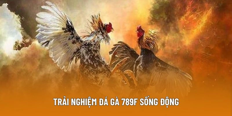 da ga 789f gioi thieu Trải nghiệm Chọi gà online sống động