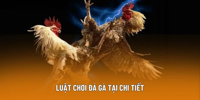 da ga 789f luat choi Luật chơi đá gà tại chi tiết
