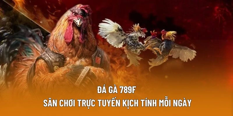 Chọi gà online - Sân Chơi Trực Tuyến Kịch Tính Mỗi Ngày